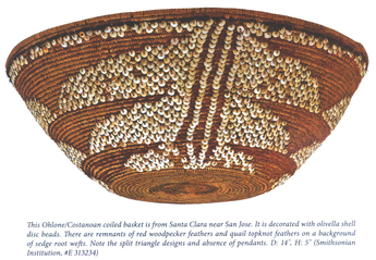 This Ohlone/Costanoan colied basket is from Santa Clara near San Jose. It is decorated with olivella shell disc beads. There are remnants of red woodpecker feathers and quail topknot fethers on a background of sedge root wefts. Note the split triangle designs and absence of pendants. DL 14