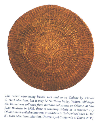 This colied winnowing basket was said to be Ohlone by scholar C. Hart Merriam, but it may be Northern Valley Yokuts. Althrough this basket was collected form Barbara Salorsano, an Ohlone, at San Juan Bautista in 1902, there is scholarly debate as to whether any Ohlone made colied winnowers in addition to their twined ones. D: 16